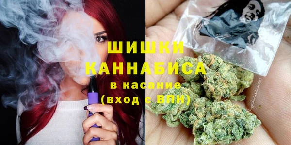 сатива Кукмор