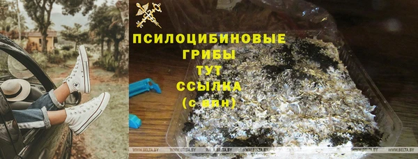 гидропоника Алексин