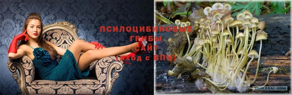 гидропоника Алексин