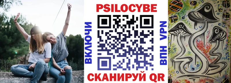Псилоцибиновые грибы Psilocybe  Алушта 
